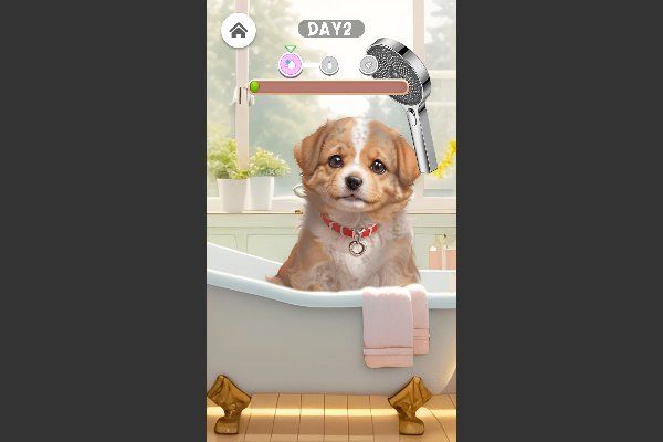 Pet Salon 🕹️ 🏖️ | Gioco per browser arcade casual - Immagine 2